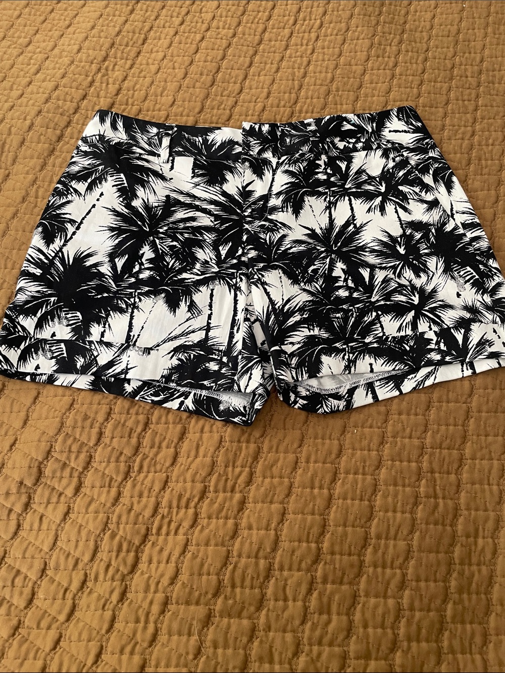 INC Shorts Black & White Palm Print